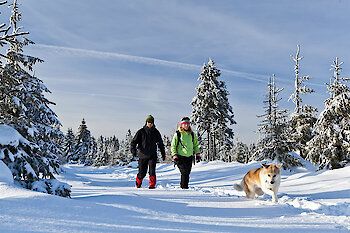 Schneeschuhtour im Bayerischen Wald